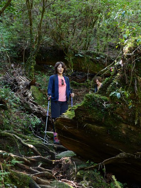 釈迦杉から下ってきた所にある巨大な屋久杉の倒木を通る二人の写真