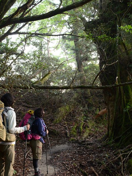 登山とは単に山を登ることでは無いということ