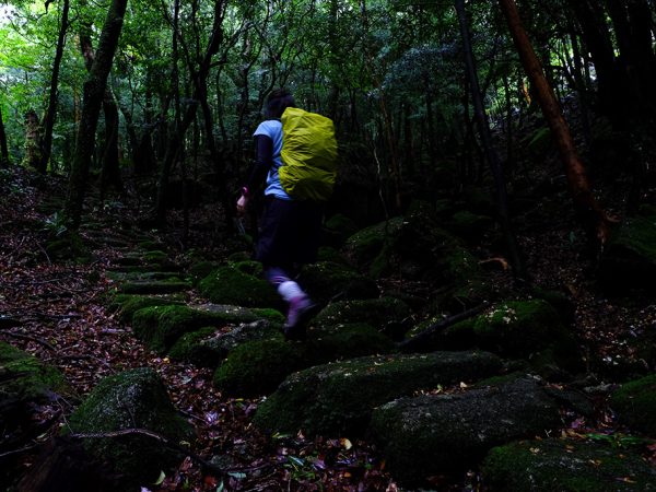 苔むした石畳を上がって行く参加者Kさん