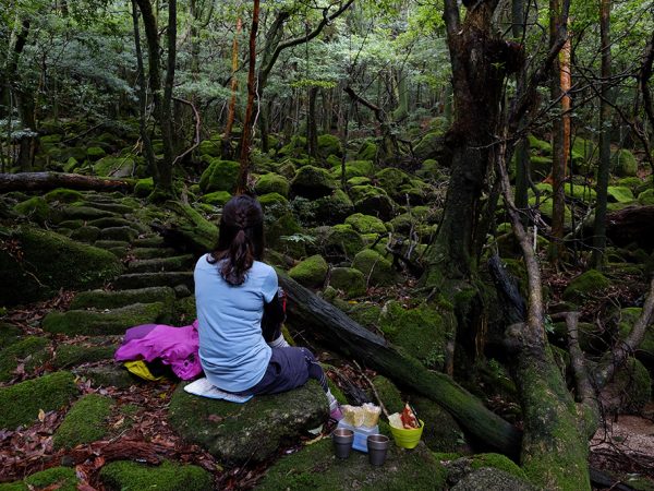 苔がびっっっしりと生えたスポットで休憩しよう！という事になり選んだ場所にて、ケーキ屋お菓子を広げている様子の写真