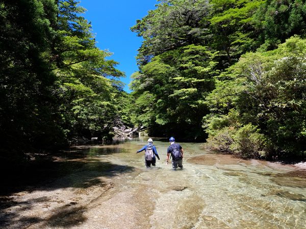 大人の水遊び(天上編w)