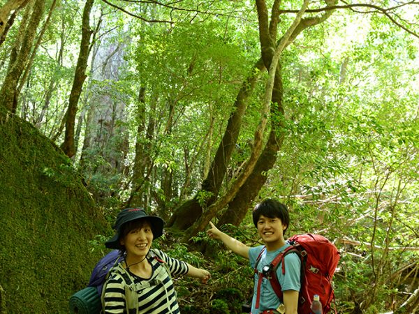 太く、そして高くそびえ立つ超美形の屋久杉の前でポーズをとるI夫妻