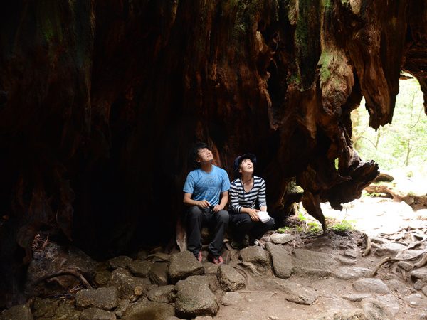 ウィルソン株の中から有名なハートマークに見える株の輪郭を見上げる二人