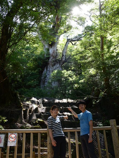 縄文杉の前で記念写真を一枚