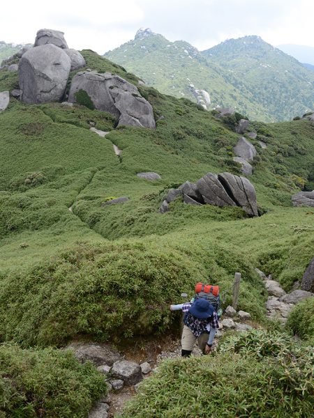 宮之浦岳山頂までの登りを、夏の暑さと闘いながら登る参加者の写真