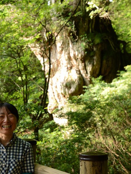 10年ぶりの縄文杉への縦走旅