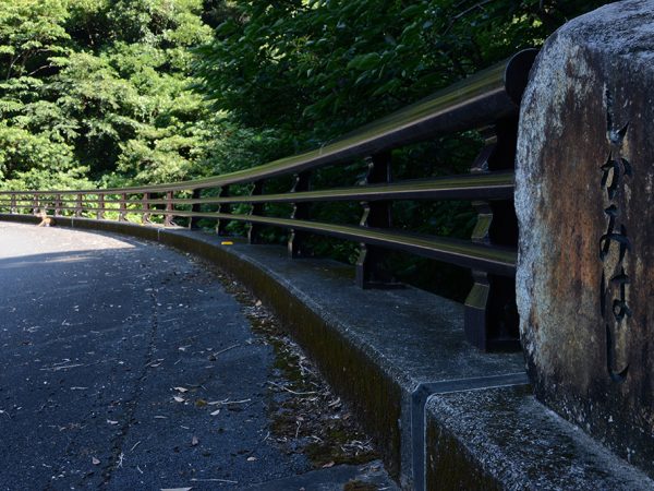 「しかみはし」に集まるシカ達と橋の名前が刻まれた石碑の写真