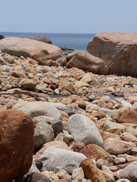 12年ぶりに屋久島に帰ってきました（＋娘）