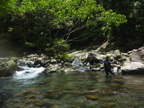狭い川だと木々の間の沢を歩くという感じなのですが、所々に開けた場所があり、そこには陽が燦々と射し込みます。Kさんもキャッキャしています（笑）