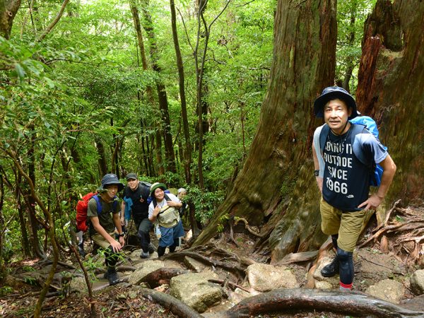 土砂降りの後は陽射しが戻り、一番の急坂でも笑顔を見せる4人の写真