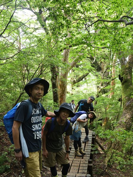 巨木のトンネルみたいに木々が立ち並び、その中に4人がスッポリと収まって良い感じだったので撮った一枚