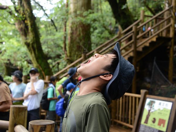 木から落ちてくる雫を口で受け止めようと口を開けて上を見ているそのK君の顔に、雫が当たった瞬間の写真