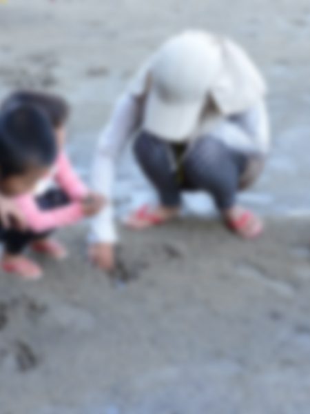 水辺の生き物観察ツアー