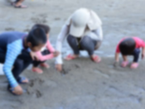 水辺の生き物観察ツアー