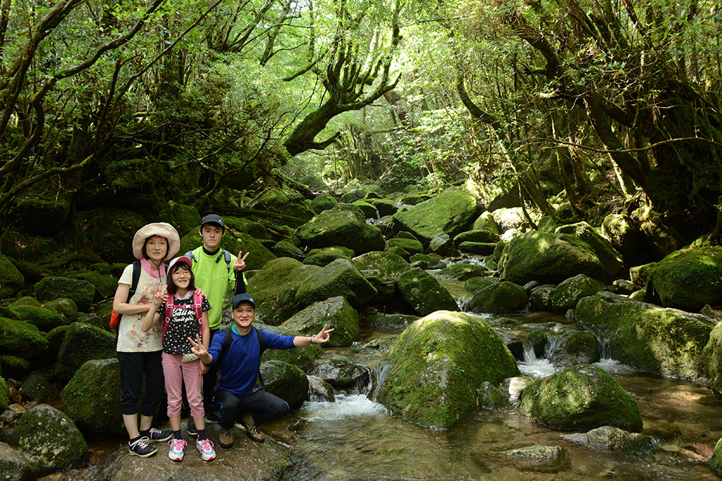 美しく苔が岩を覆い尽くす沢の前で家族写真