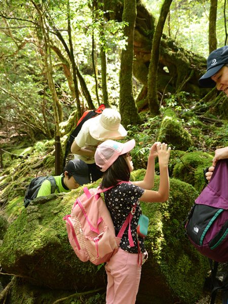 ガイドのつながりから