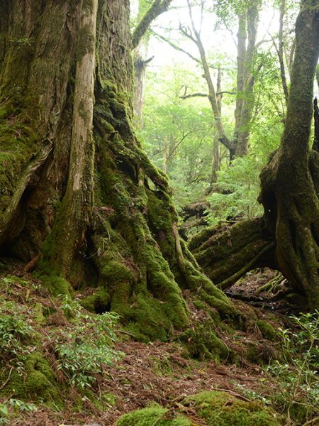 この8月、最も一緒に時間を過ごしたふたり♪