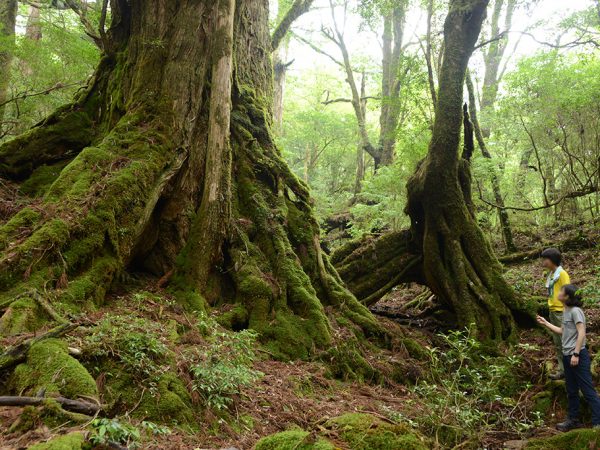 この8月、最も一緒に時間を過ごしたふたり♪