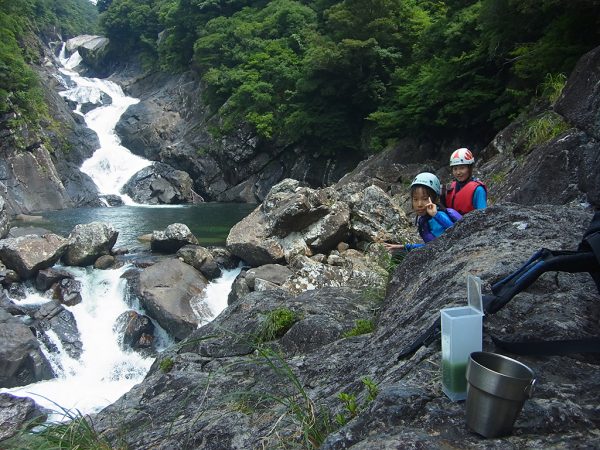 親子の得意分野