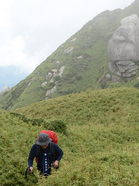 皆の者、屋久島に集合じゃ〜！