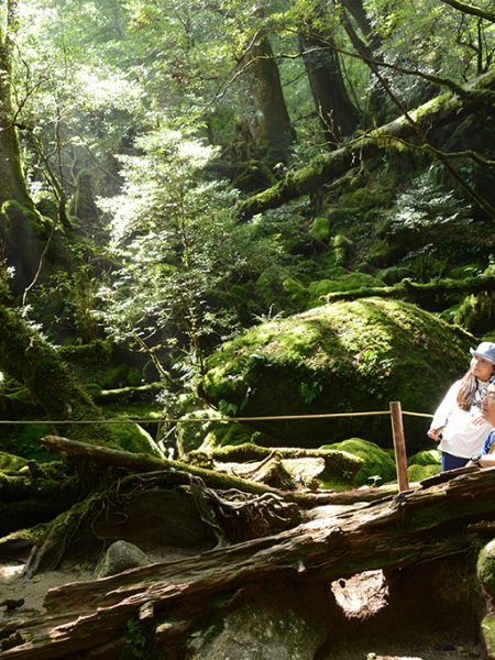 3世代で太鼓岩までGo！