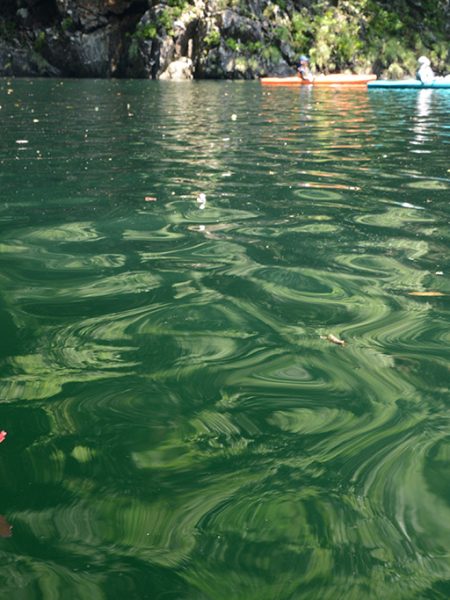 夏のカヤックはやっぱり川だね♪