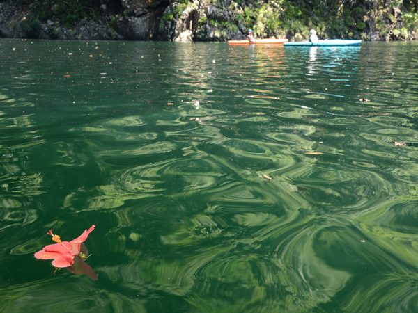 夏のカヤックはやっぱり川だね♪