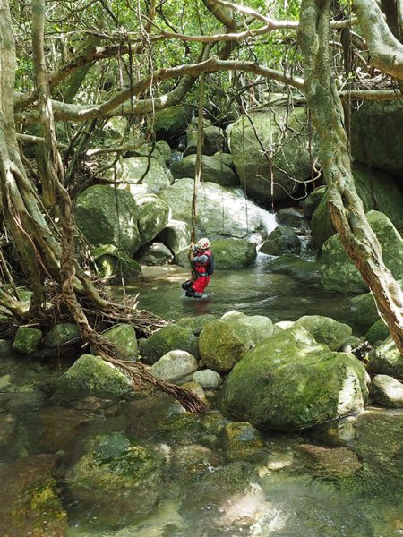 西部林道の森を見ながら沢登り