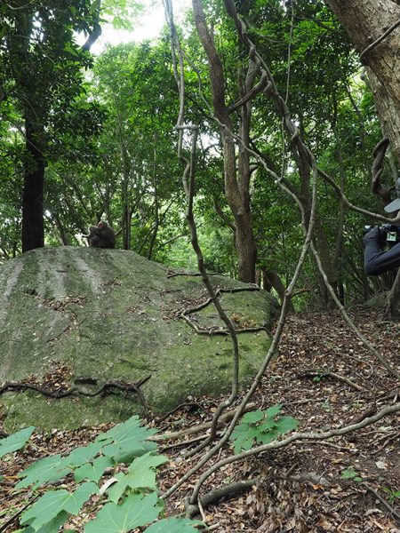 新婚旅行の締めくくりは西武林道