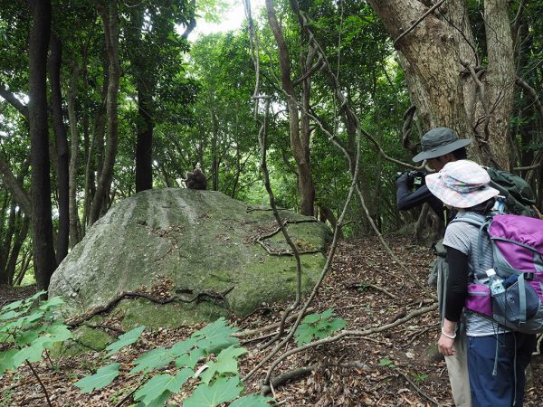 新婚旅行の締めくくりは西武林道