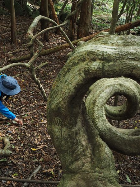 目に見えるものでは無い素晴らしさ