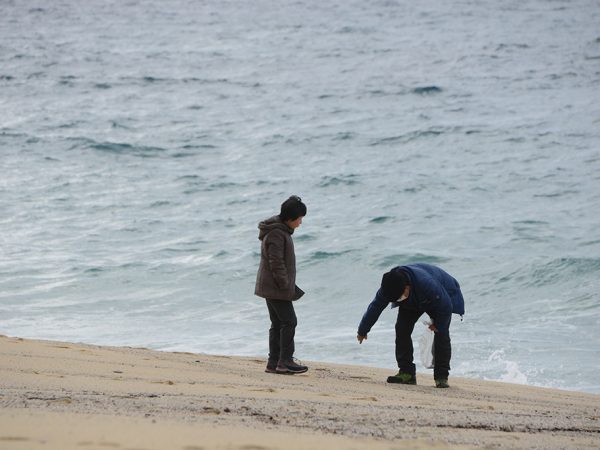 半日のんびり屋久島一周