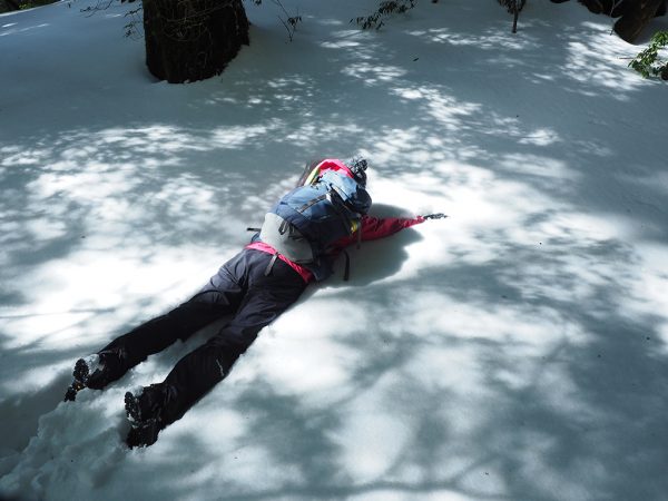 通行止め解除されたけど行ってみる??