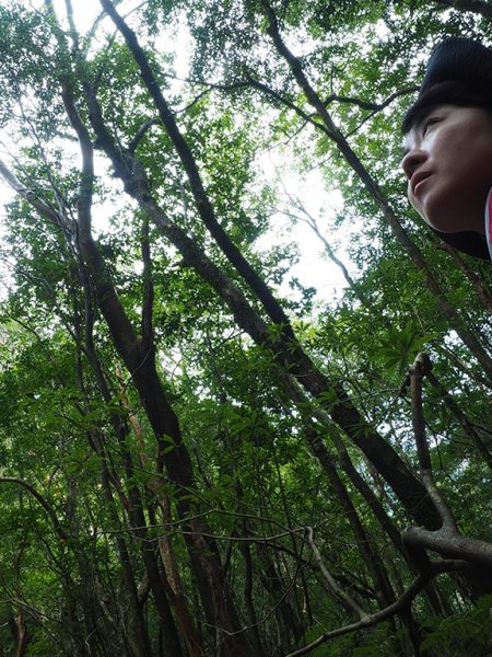 やっぱり屋久島の森は奥が深い！