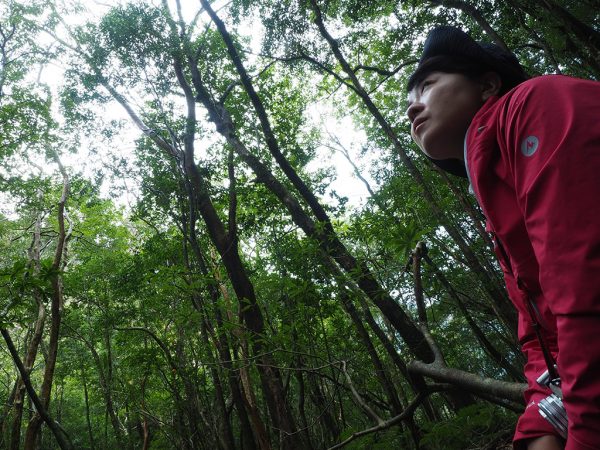 やっぱり屋久島の森は奥が深い!