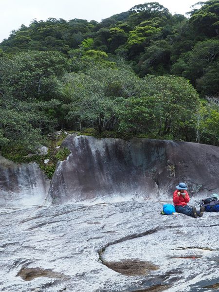 今年も屋久島詣です＾＾