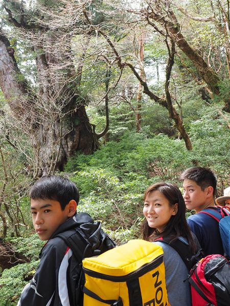 各々が頑張った縄文杉への道
