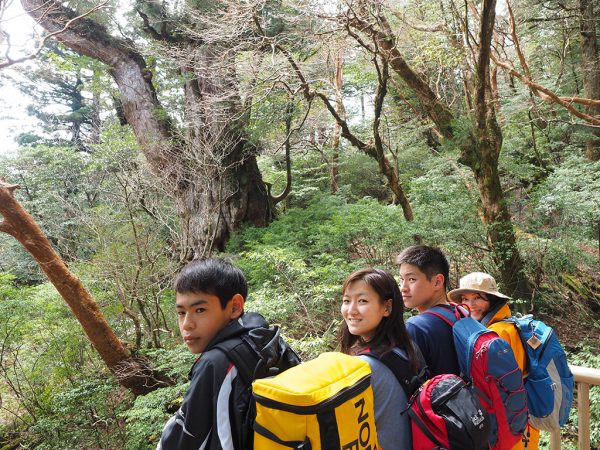 各々が頑張った縄文杉への道