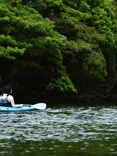 新緑と南風に包まれて進むカヤック