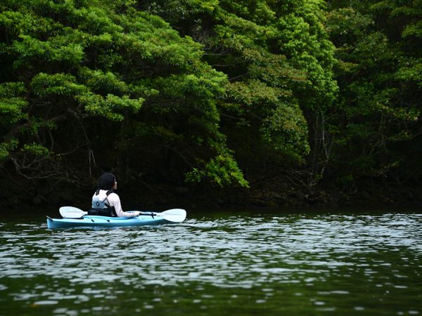 新緑と南風に包まれて進むカヤック