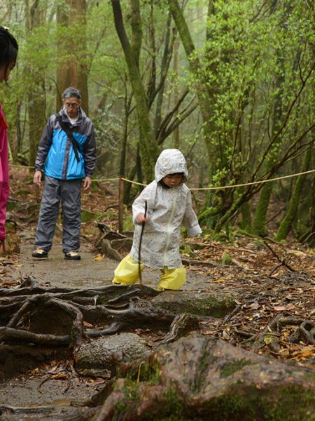 まだ3歳になってないけど一緒に森を歩きたい