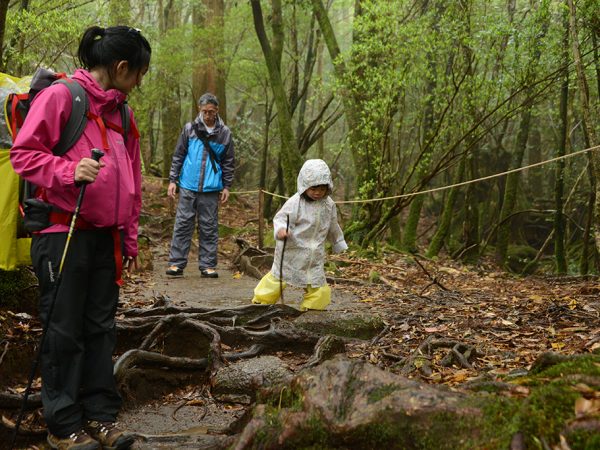 まだ3歳になってないけど一緒に森を歩きたい