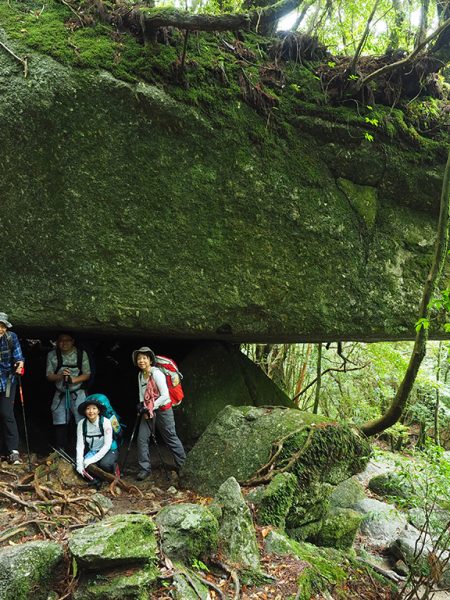 盛り沢山１泊縄文杉ツアー