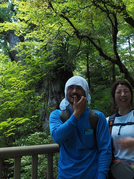 サクラツツジに惚れました…