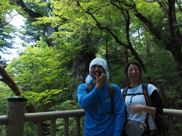 サクラツツジに惚れました…