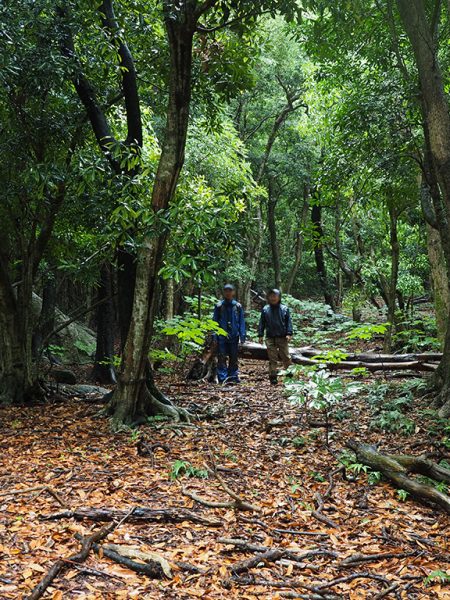 西部林道を選んだ二人