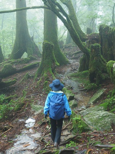台風の影響で朝に屋久島到着〜！