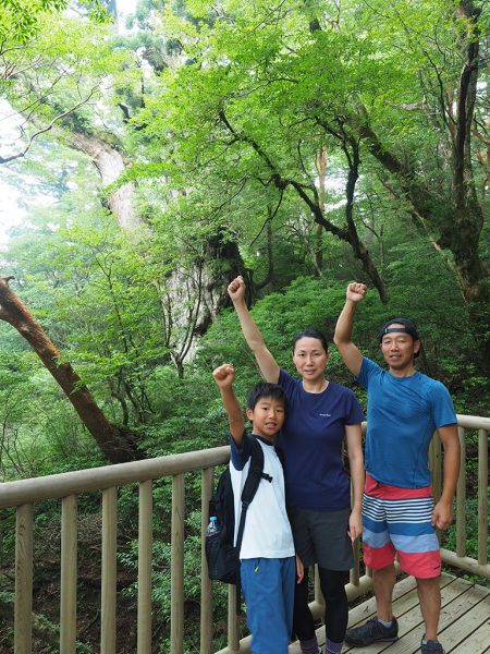 悩んだ末に縄文杉を選んでみました