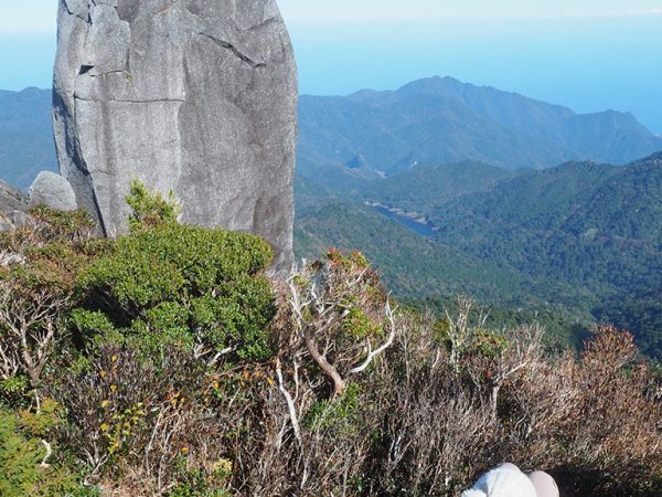 この公式知ってますか？「巨木の森+絶景+巨岩=太忠岳」 | ケモと