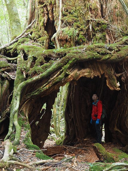 ガイド３人でフラッと森にお出かけの巻